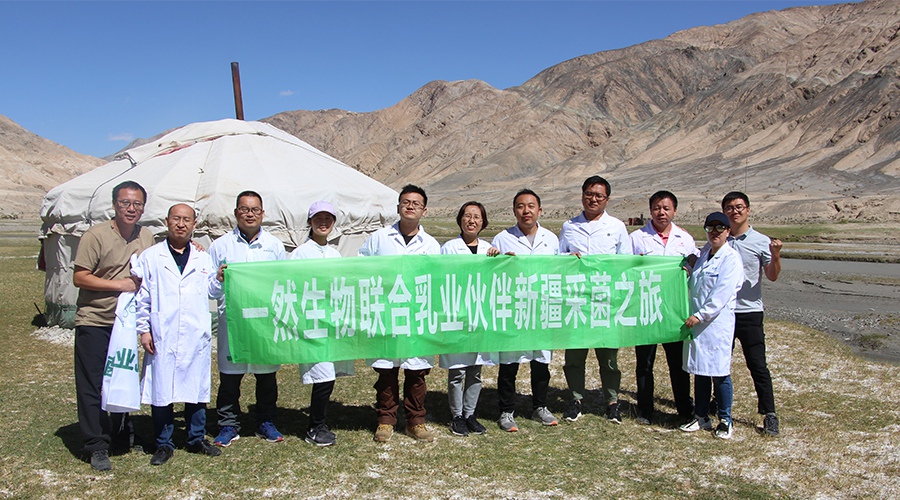 1574759615106608.jpg 濕地.jpg