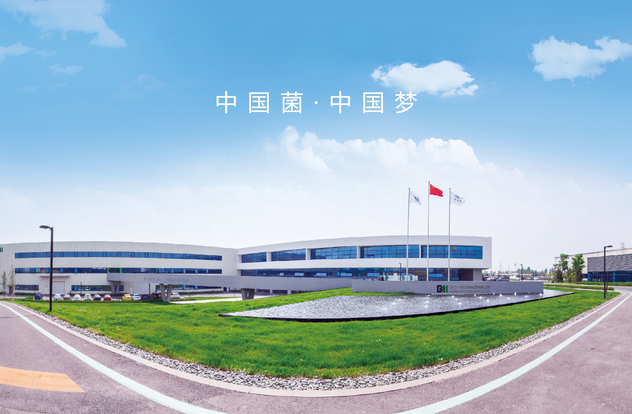 1648884063483988.jpg 5.jpg